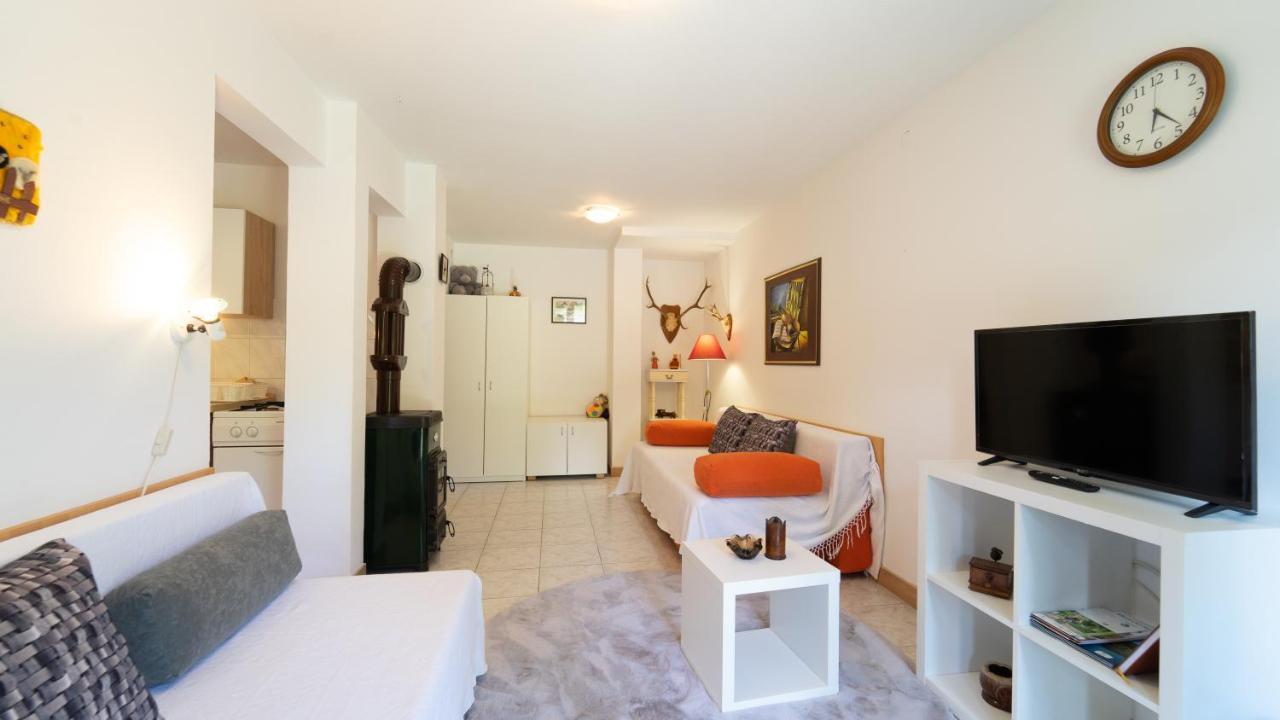 Karolina Apartment Fužine Екстериор снимка