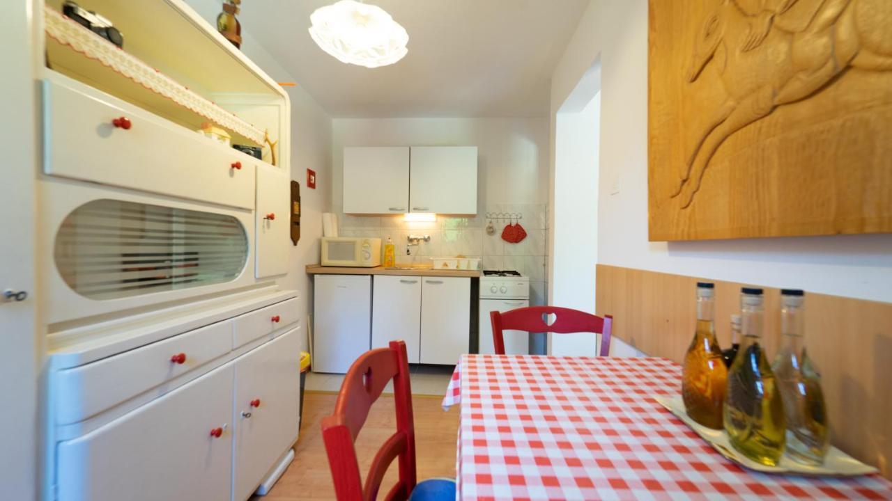 Karolina Apartment Fužine Екстериор снимка