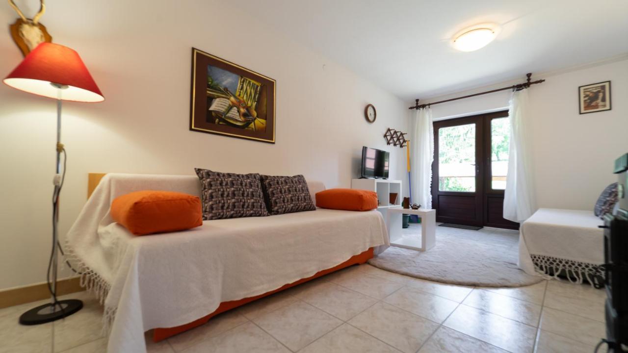 Karolina Apartment Fužine Екстериор снимка