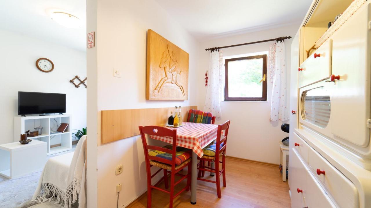 Karolina Apartment Fužine Екстериор снимка